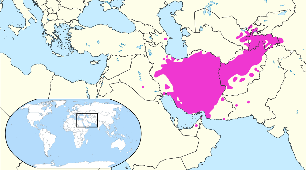 Дари язык какой. Персидский язык фарси. Иран на фарси. Иранские языки на карте. Язык фарси на карте.