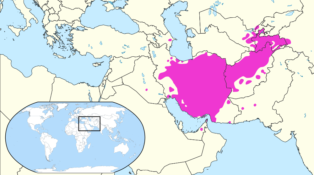 Persian language. Персидский язык фарси. Язык фарси на карте. Персидский язык карта. Иранские языки на карте.